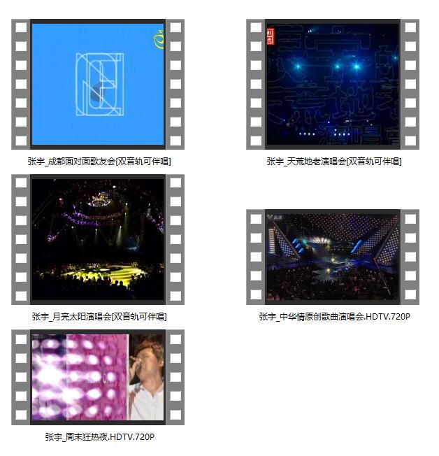 张宇演唱会现场LIVE 720p  双音轨可伴唱